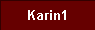  Karin1 