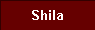  Shila 